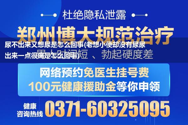 尿不出来又想尿是怎么回事(老想小便却没有尿尿出来一点很痛是怎么回事)